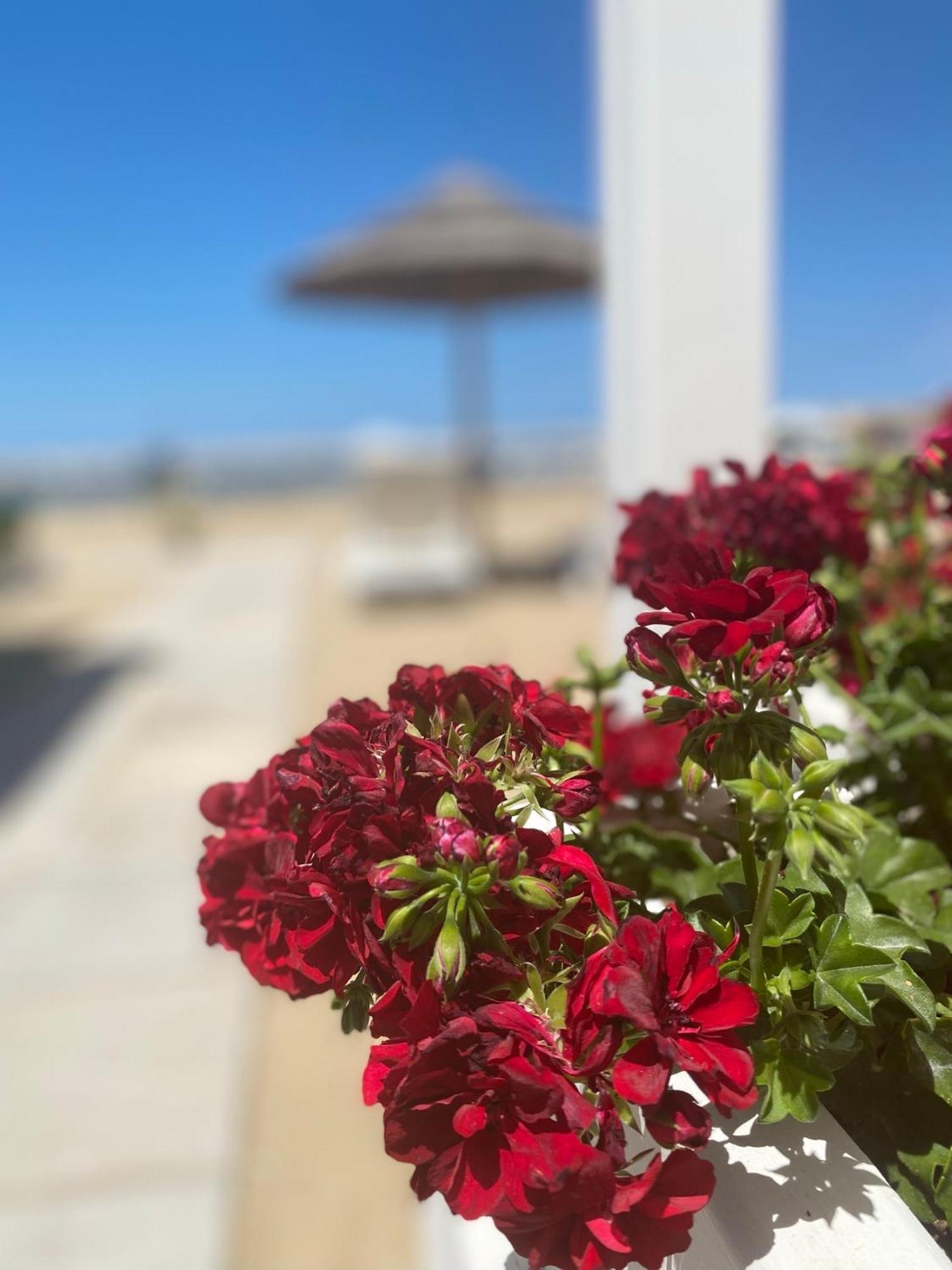 Marina Bay Beach Hotel Пескичи Экстерьер фото